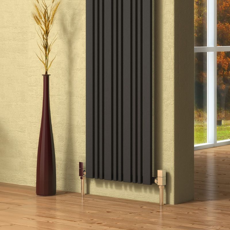 Reina Bonera Vertical Mild Steel Flat Panel Radiator