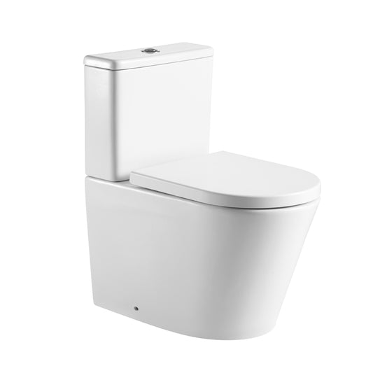 TB Ferrara Rimless Comfort Height D Shape Toilet Easier Sitting and Standing