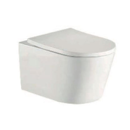 TB Ferrara Plus Wall Hung Rimless D Shape Toilet Complete Set