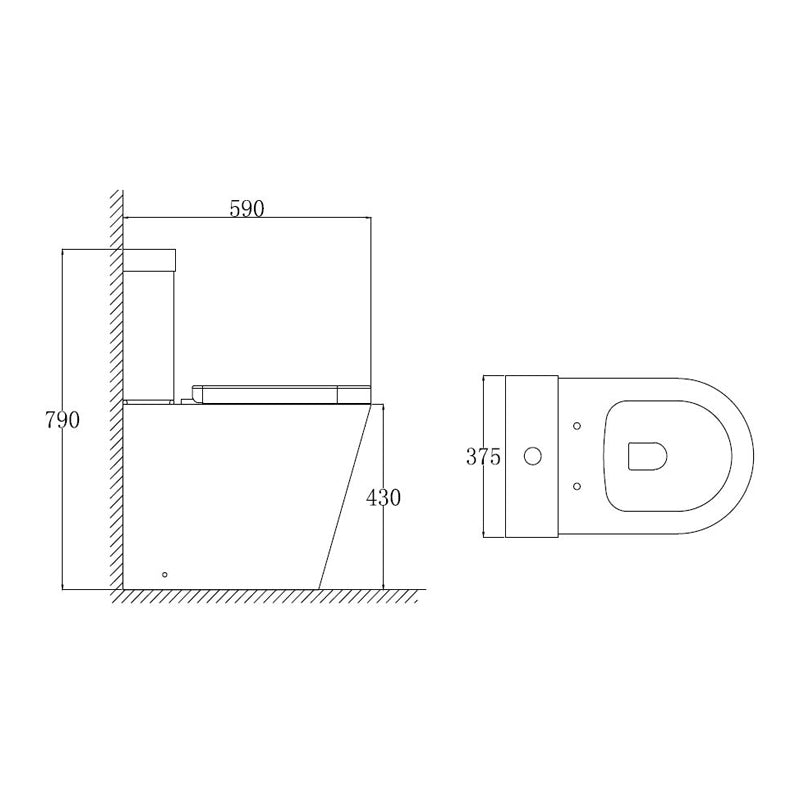 TB Ferrara Rimless Comfort Height D Shape Toilet Easier Sitting and Standing