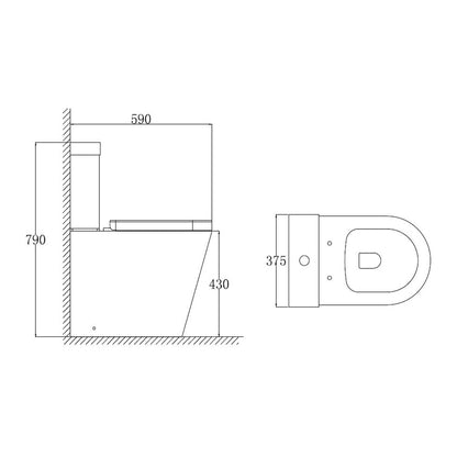 TB Ferrara Rimless Comfort Height D Shape Toilet Easier Sitting and Standing
