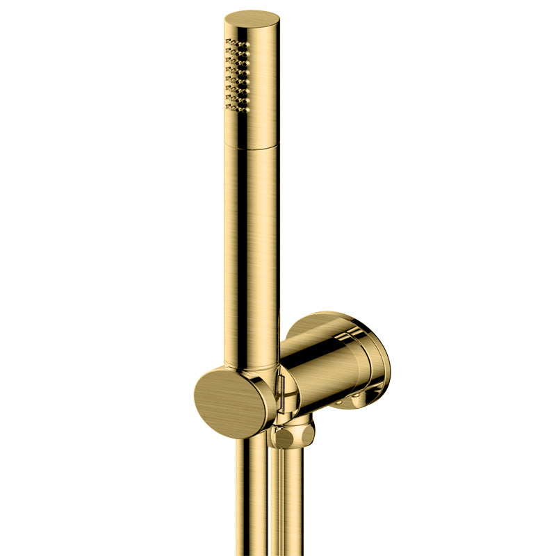 RAK Ceramics RAK Single Function Shower Kit Stylish Finishing Touch