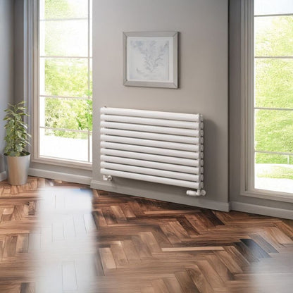Reina Nevah Dual Fuel Mild Steel Radiator