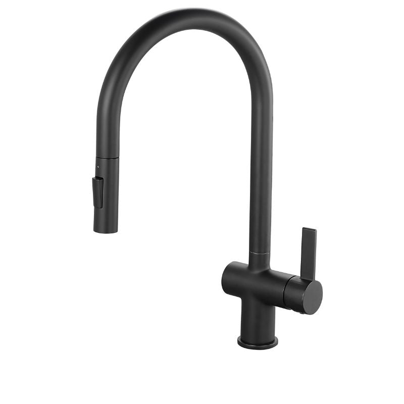 Tailored Bathrooms Mayhill Single Lever Pull-Out Kitchen Mixer Tap Spring Hose