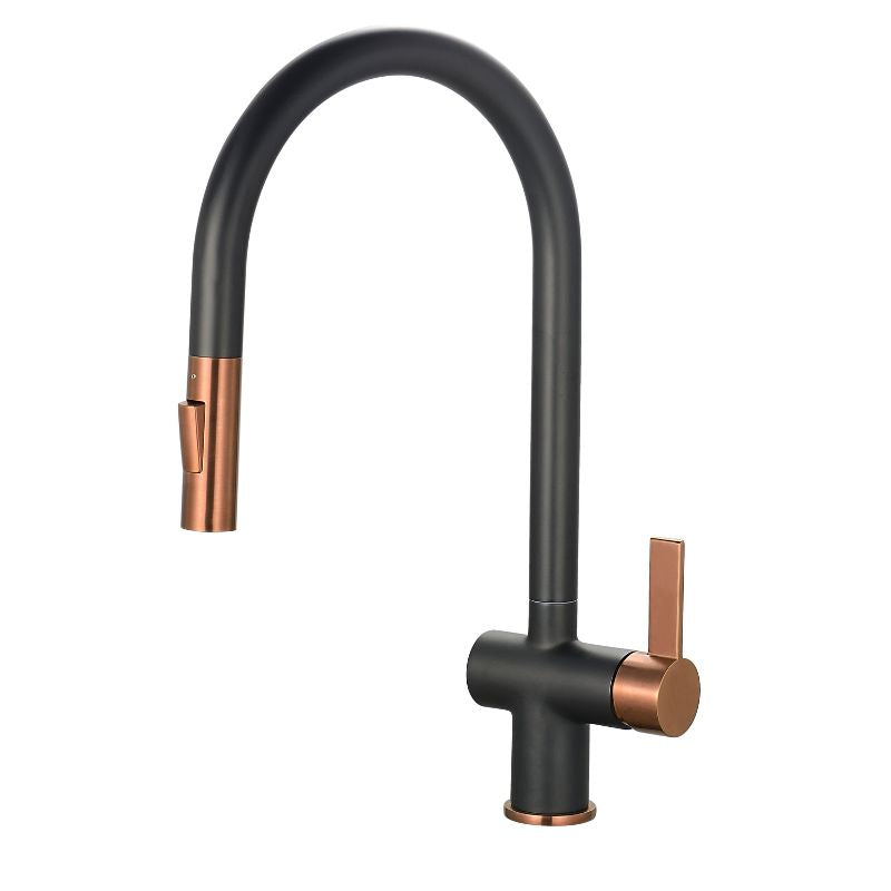 Tailored Bathrooms Mayhill Single Lever Pull-Out Kitchen Mixer Tap Spring Hose