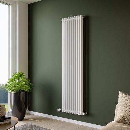 Eucotherm Phoenix 2 Column Radiator Vertical