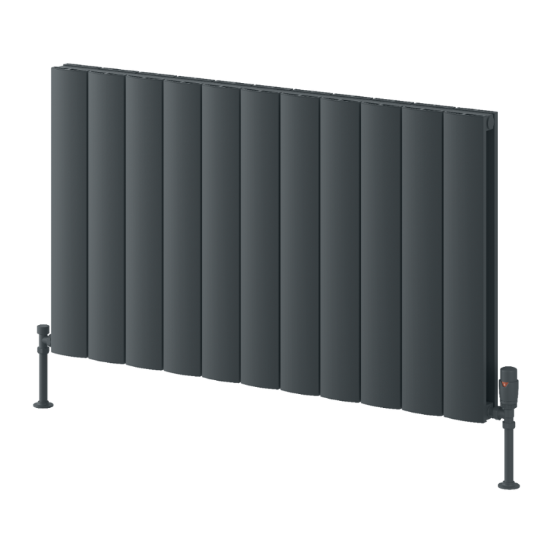 Reina Loco Aluminium Horizontal Column Radiator