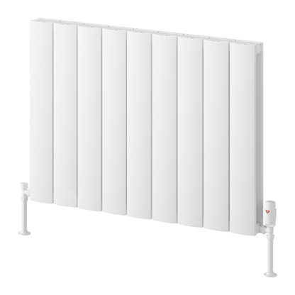 Reina Loco Aluminium Horizontal Column Radiator