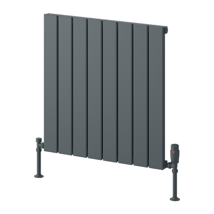 Reina Piatto Horizontal Aluminium Radiator