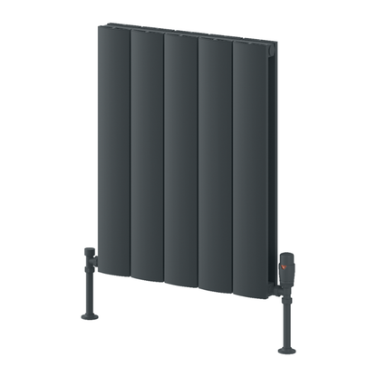 Reina Loco Aluminium Horizontal Column Radiator