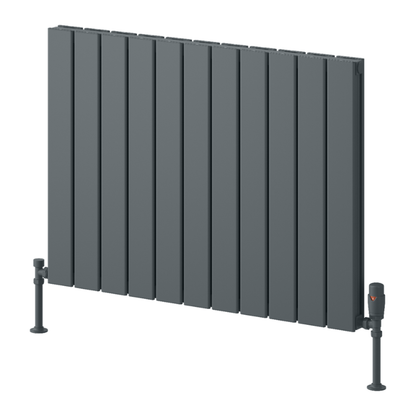 Reina Piatto Horizontal Aluminium Radiator
