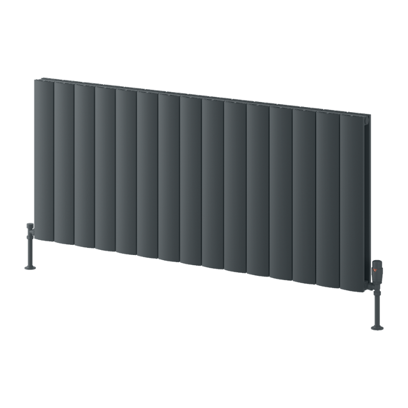 Reina Loco Aluminium Horizontal Column Radiator