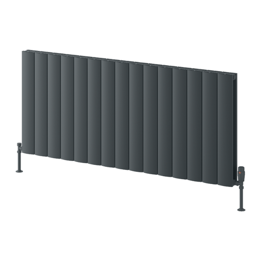 Reina Loco Aluminium Horizontal Column Radiator