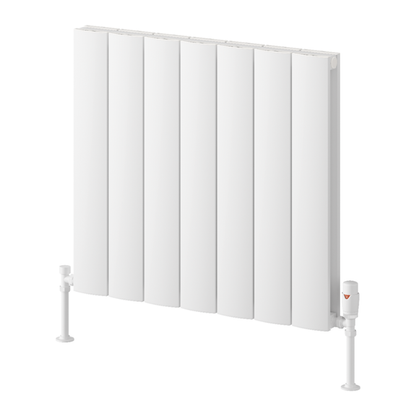 Reina Loco Aluminium Horizontal Column Radiator