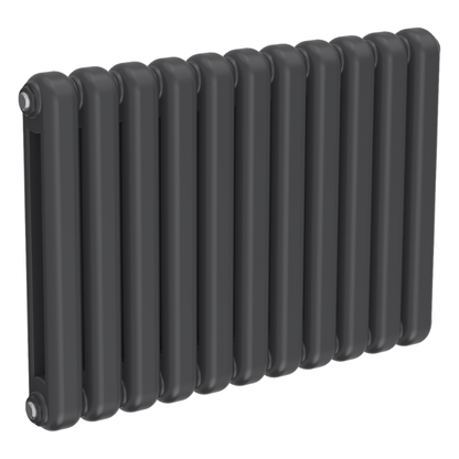 Reina Conevan Horizontal Column Radiator