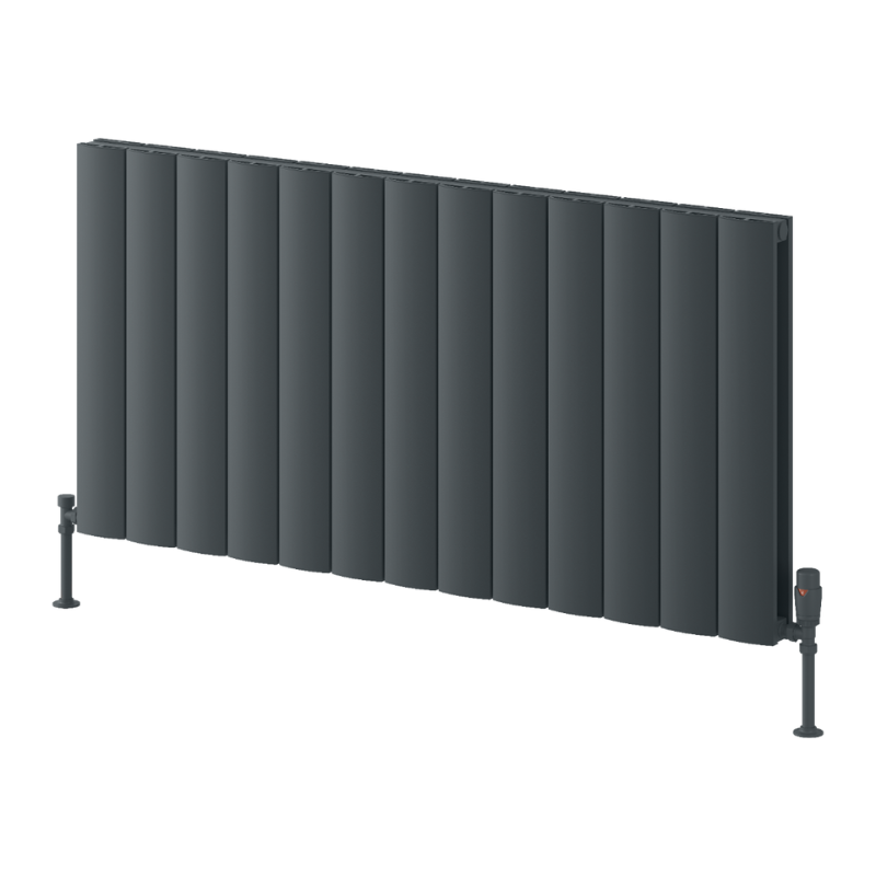 Reina Loco Aluminium Horizontal Column Radiator