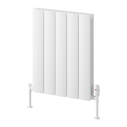 Reina Loco Aluminium Horizontal Column Radiator