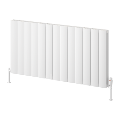 Reina Loco Aluminium Horizontal Column Radiator