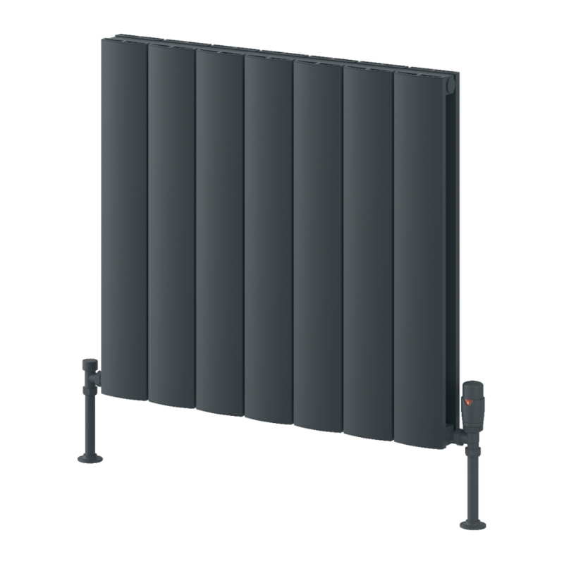 Reina Loco Aluminium Horizontal Column Radiator