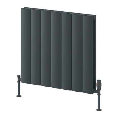 Reina Loco Aluminium Horizontal Column Radiator