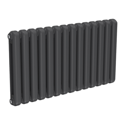 Reina Conevan Horizontal Column Radiator