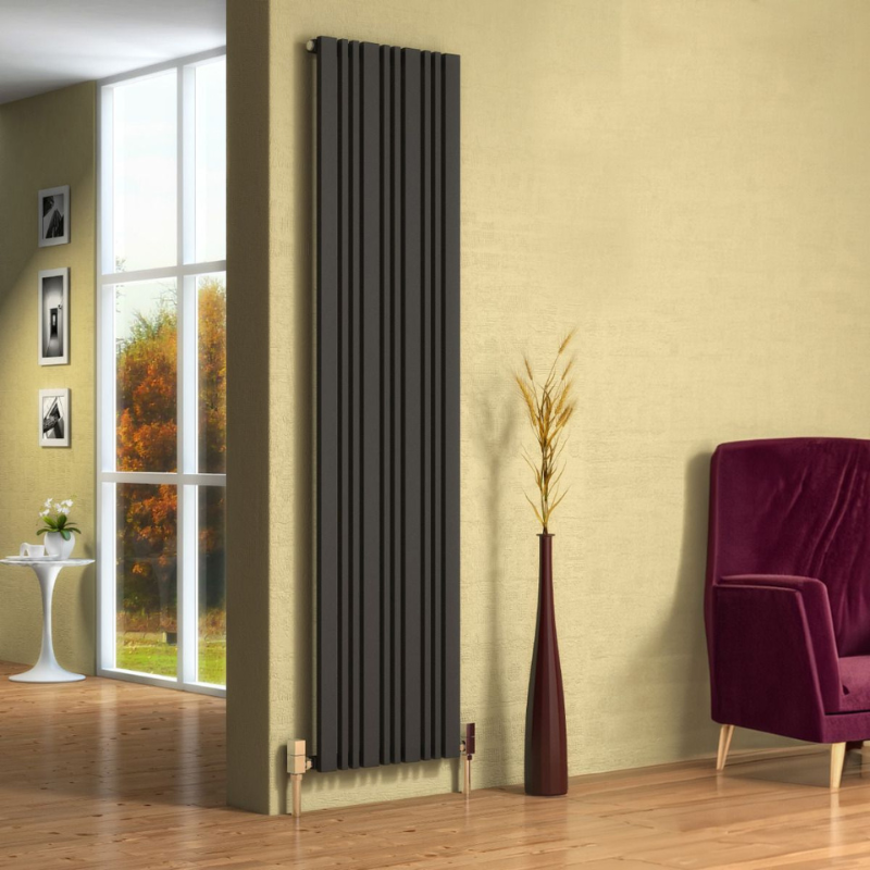 Reina Bonera Vertical Mild Steel Flat Panel Radiator