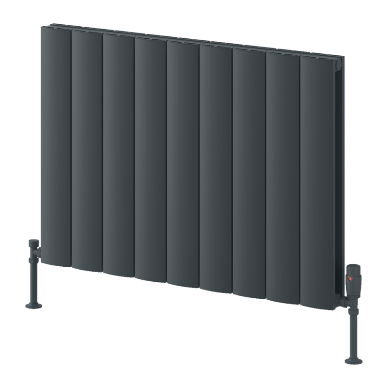 Reina Loco Aluminium Horizontal Column Radiator