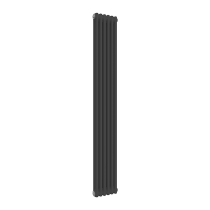 Reina Colona Vertical Mild Steel Radiator
