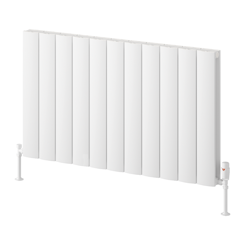 Reina Loco Aluminium Horizontal Column Radiator