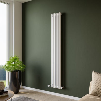 Eucotherm Phoenix 2 Column Radiator Vertical